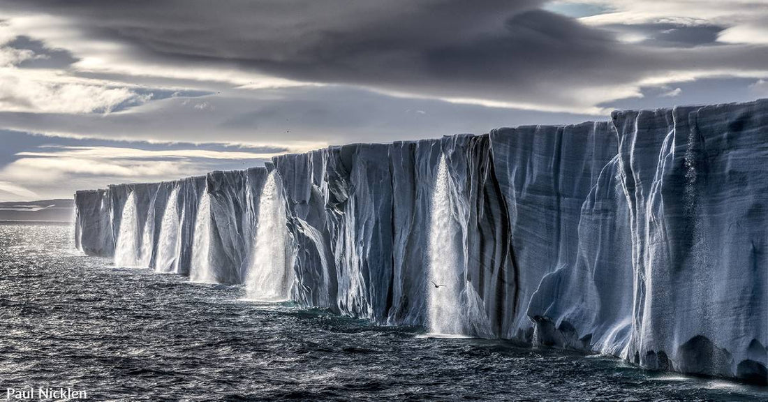 Exhibit for Two of the World's Foremost Conservation Champs & Nature Photogs Extended to July 30