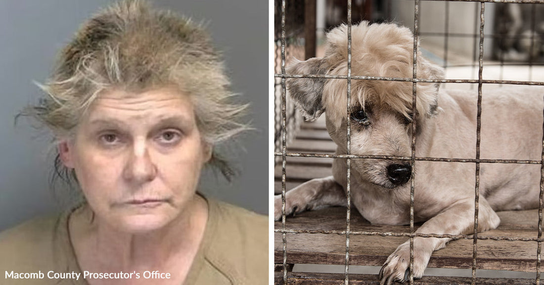Split image shows a mugshot of a woman beside a small white dog lying behind kennel bars.