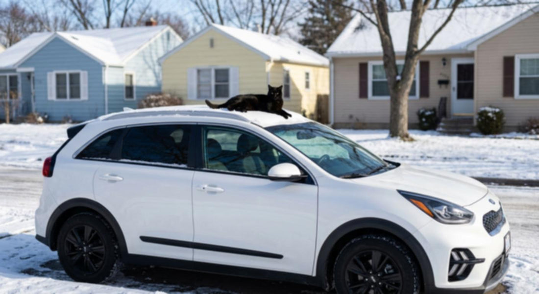 A black cat lounging on the roof of a white car in winter.