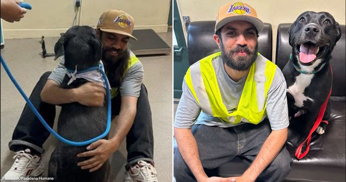 On the left, a bearded man in a Lakers cap hugs a black dog on a floor; on the right, the same man sits beside the happy, tongue-out dog on.