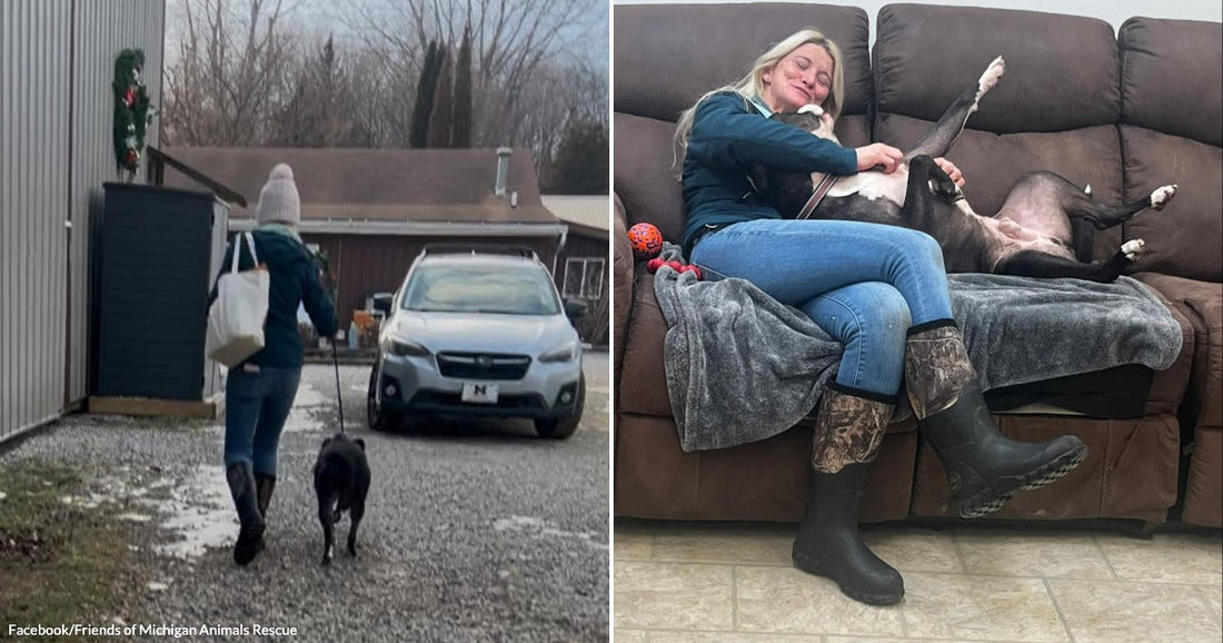 On the left, a woman in a teal jacket and pink beanie walks a black dog on a leash across a snowy gravel driveway; on the right, a blonde woman.