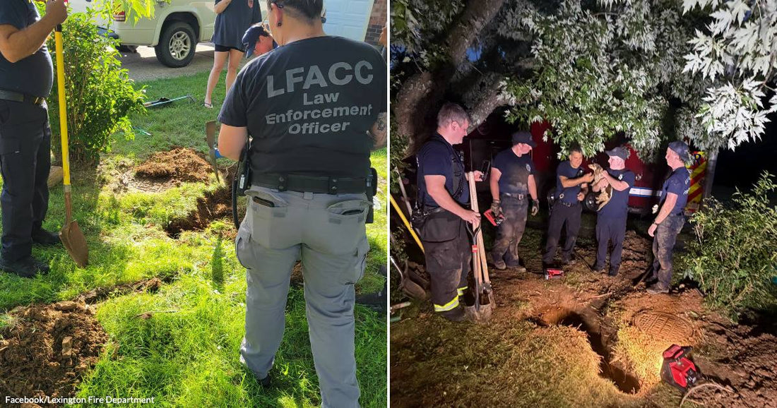 On the left, LFACC law enforcement officers dig up a residential lawn; on the right, firefighters celebrate at night after rescuing a small animal from an underground hole.