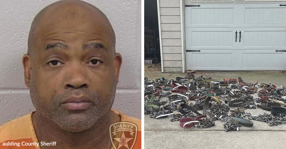 Left: Mugshot of a man labeled Paulding County Sheriff; Right: Pile of chains and dog collars spread across a driveway.