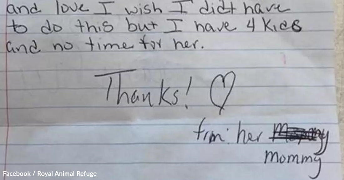 A handwritten note expressing love and regret about rehoming a pet.