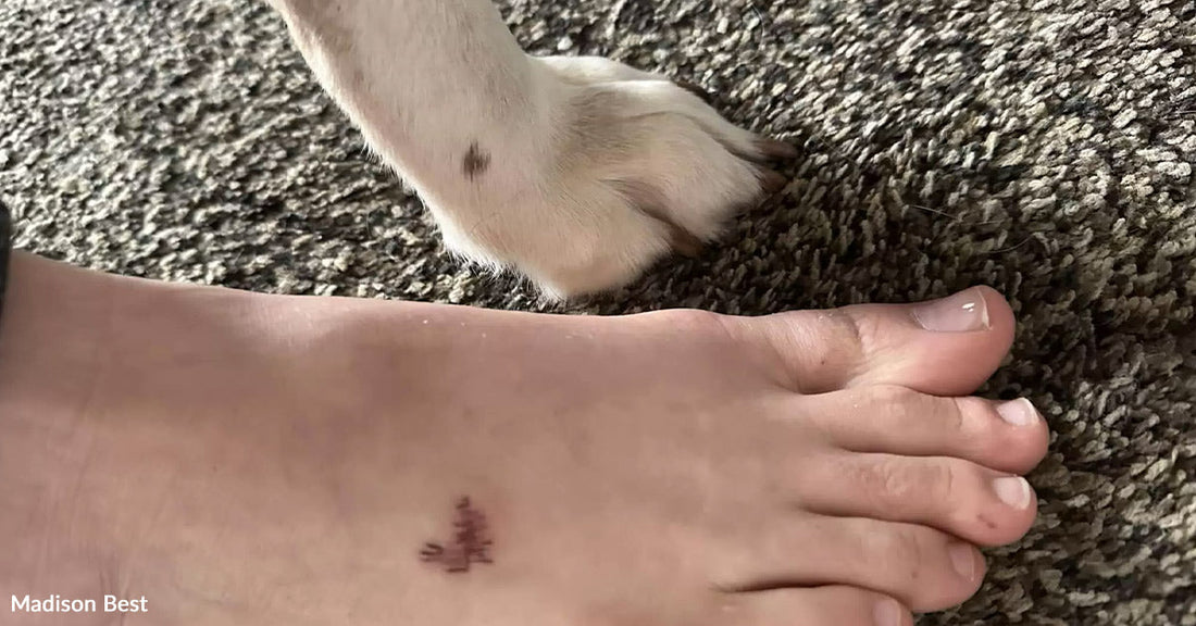 A dog's paw next to a person's foot with a small tattoo.