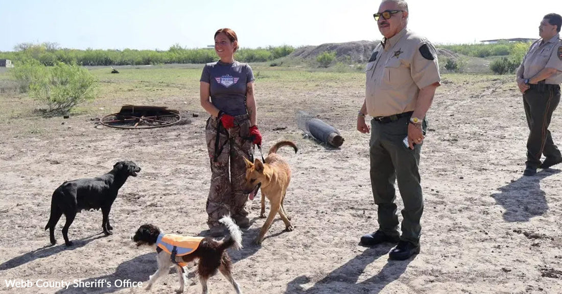 In an open field, officers and a woman stand with several rescued dogs walking around them.