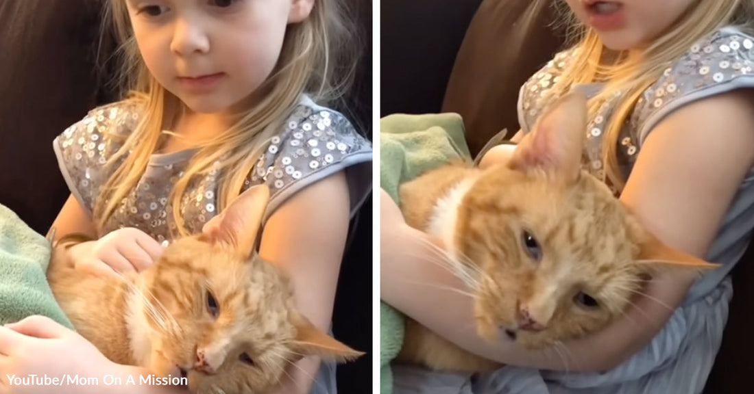 Split image of a young girl gently holding an orange tabby cat in her arms on a couch.