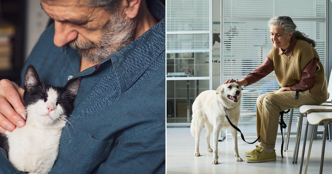On the left, an older bearded man in a blue shirt cradles a black-and-white cat indoors; on the right, a gray-haired woman pets a white dog on a leash in.