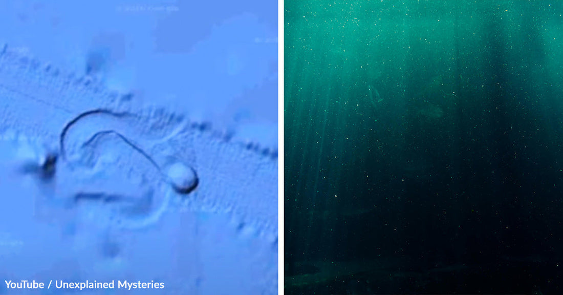 Massive Ocean Object Leaves Mysterious Trail Across the Pacific Seafloor