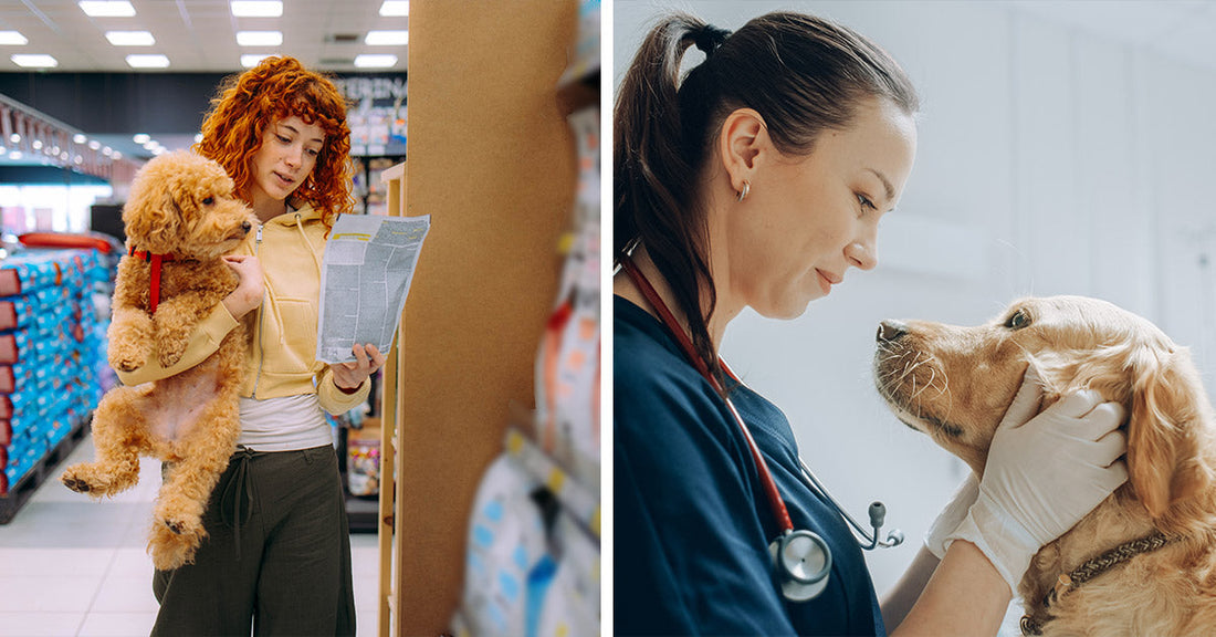 Split image showing a woman comparing pet food in a store while holding a dog and a veterinarian examining a golden retriever.