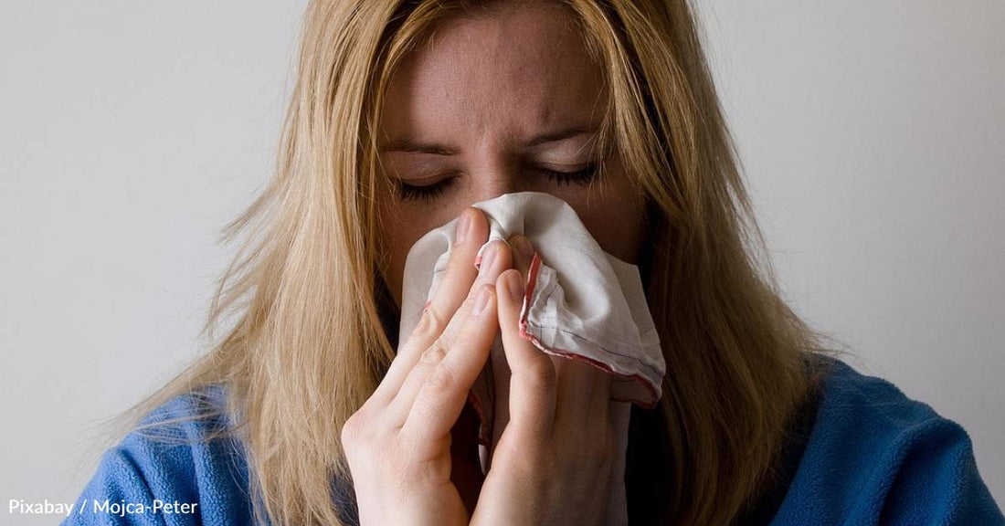 Respiratory Viruses May Wake Up Dormant Breast Cancer Cells in Lungs