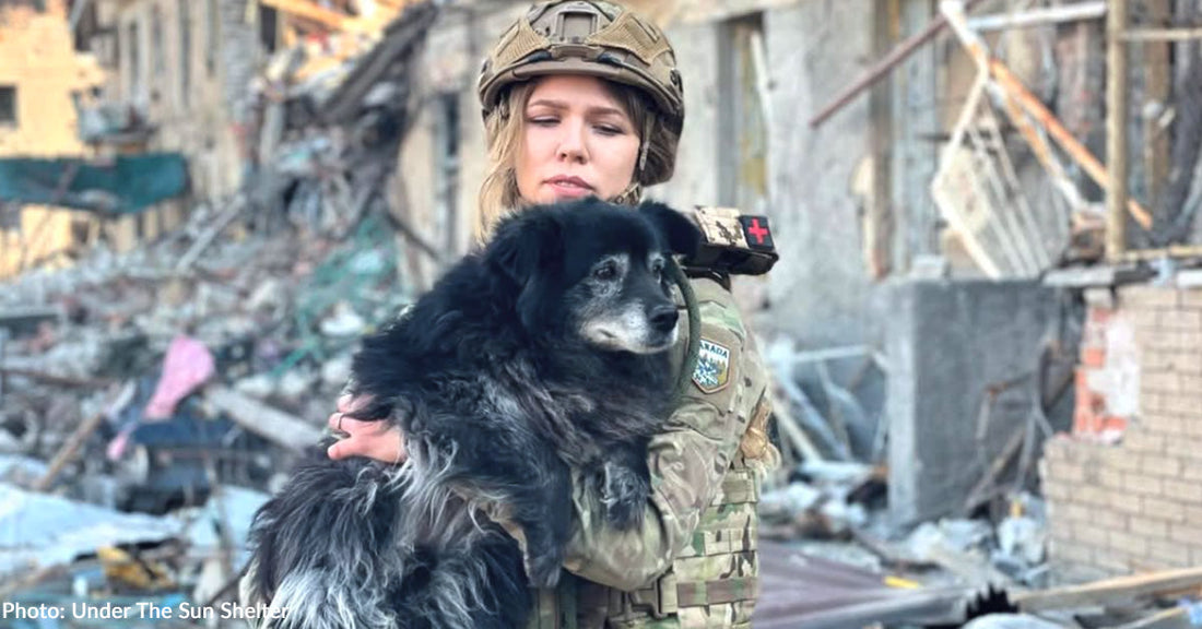 A soldier in uniform gently holds a dog amidst a devastated urban landscape.