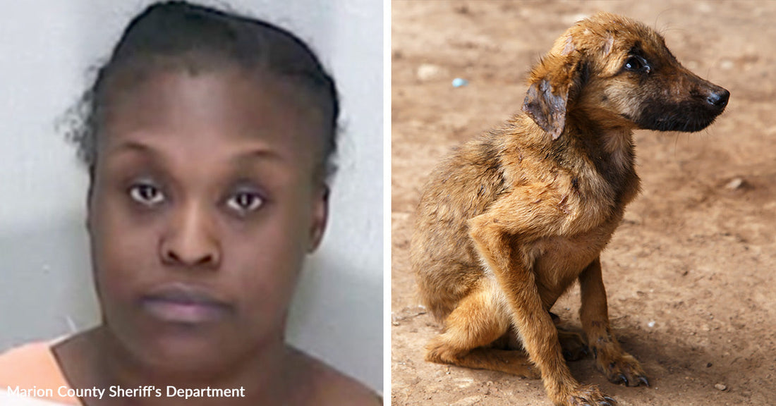 Split image showing a woman’s mugshot beside a thin brown puppy sitting alone on bare dirt.