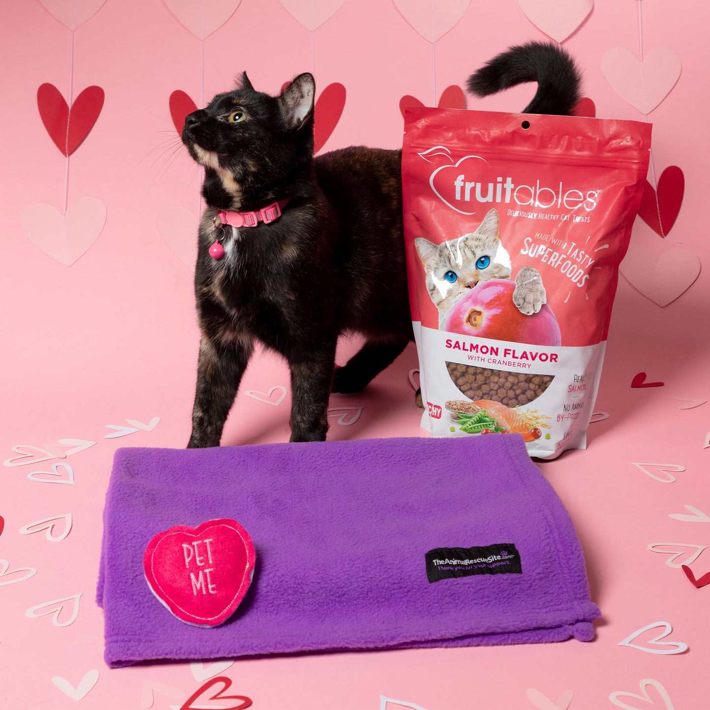 Send a Valentine & Love To a Shelter Fur Baby