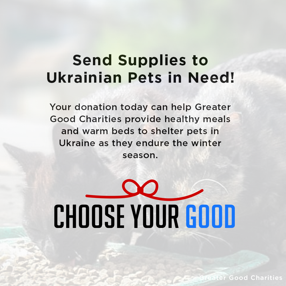 Crisis in Ukraine: Feed Hungry and Abandoned Pets