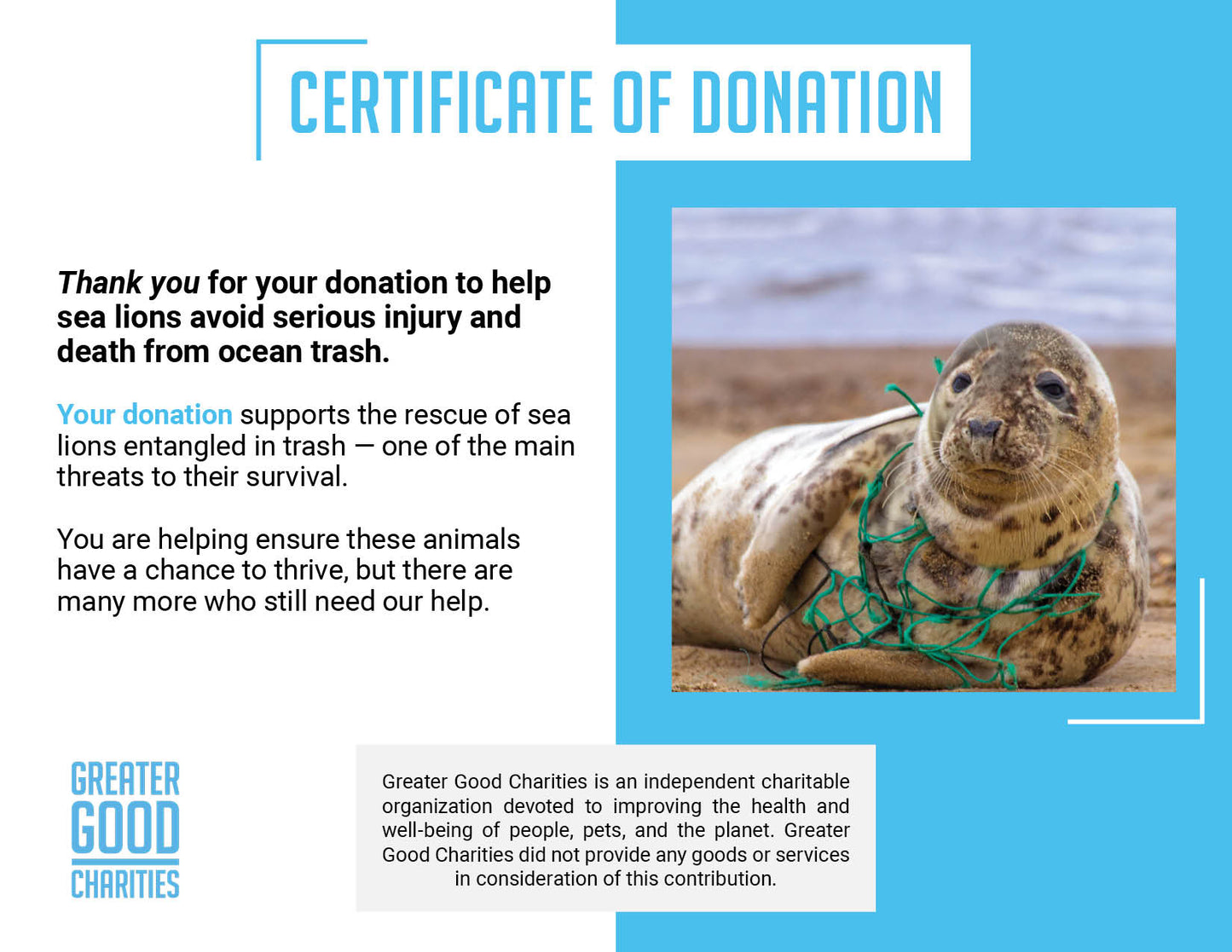 Save Seals & Other Marine Life From Ocean Trash and Pollution
