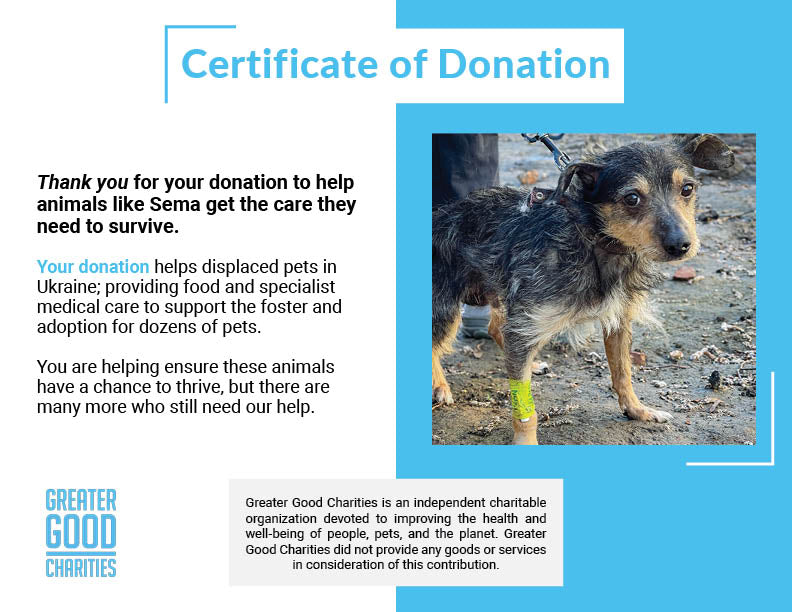 Funded: Dog Rescued from Frontlines Suffering from Parvo Needs Your Support to Survive