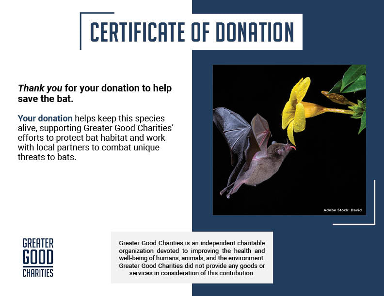 Help Save the Bat