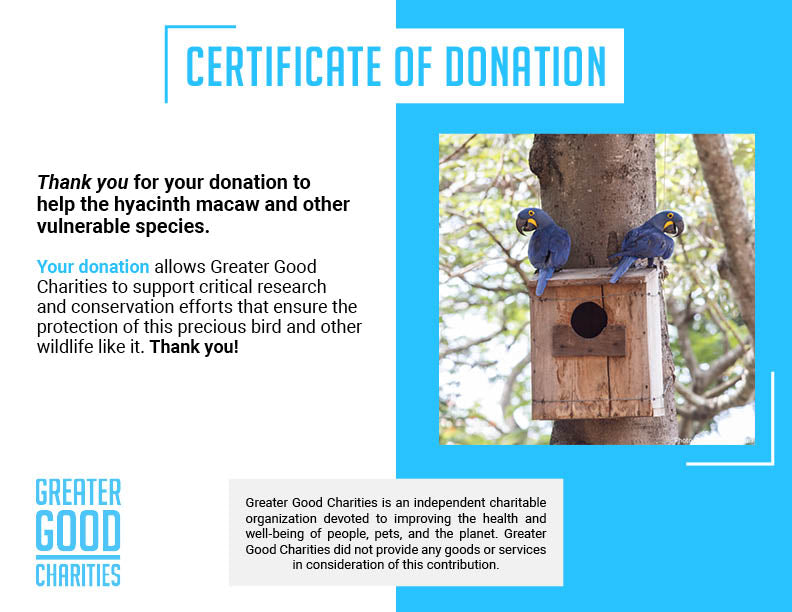 Help Save Vulnerable Parrots from Poachers and Deforestation