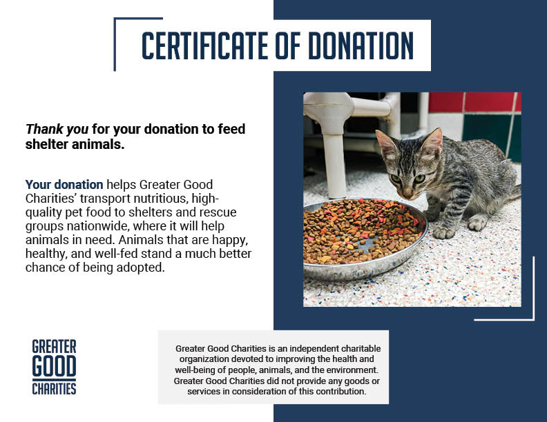 Help Feed Hungry Shelter Animals