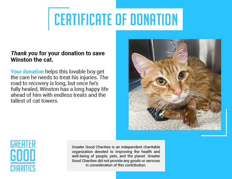 Funded: Winston is Suffering with Multiple Fractures and Needs Your Support