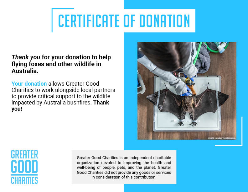 Funded: Save Flying Foxes Threatened By Australia Bushfires