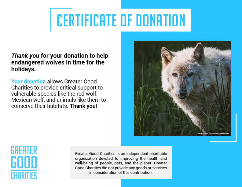 Help Save Endangered Wolves this Holiday Season
