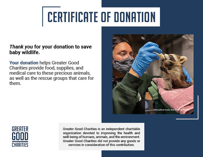 Help Provide Lifesaving Care to Orphaned and Injured Baby Wildlife
