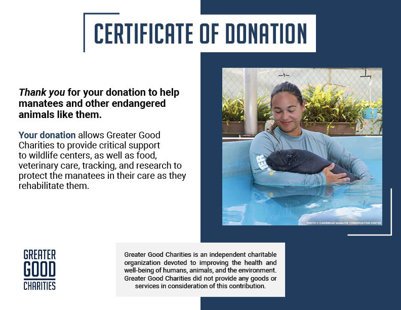 Help Feed and Care for Orphaned and Injured Manatees