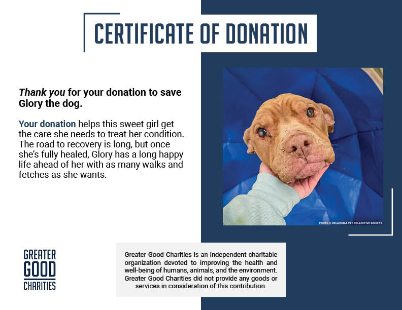 Save Glory Before Her Heart Gives Out to Heartworms and Heart Disease