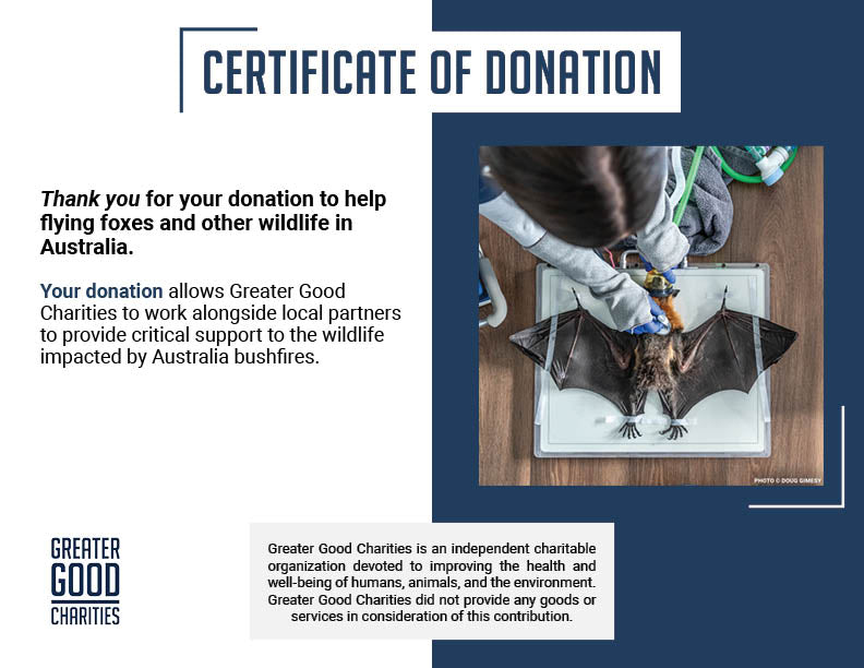 Funded: Save Flying Foxes Threatened By Australia Bushfires