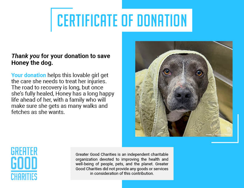 Funded: Help Suspected Bait Dog Covered in Severe Wounds Heal