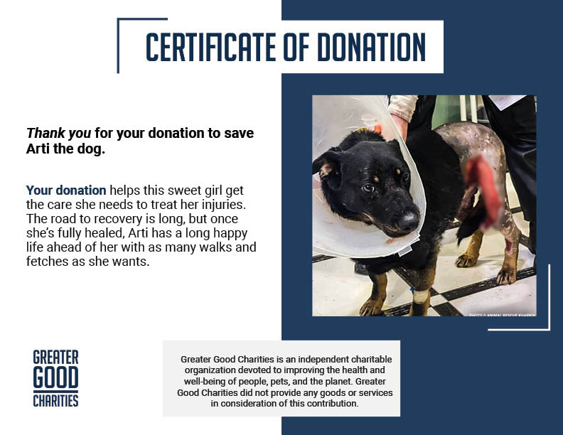 Arti Survived the War - Now Help Her Survive Her Wounds.