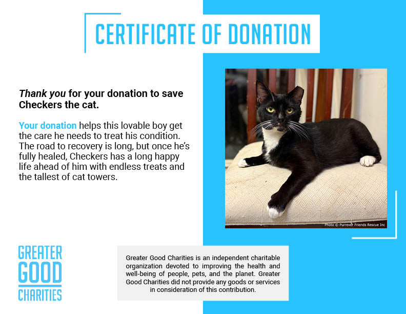 Help Checkers Overcome Severe Asthma