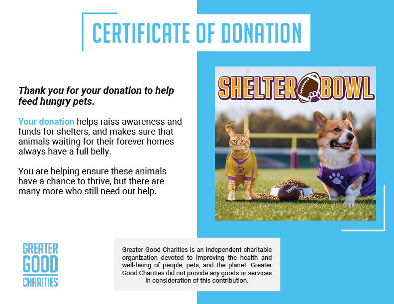 Shelter Bowl 2026: Feed Hungry Shelter Pets