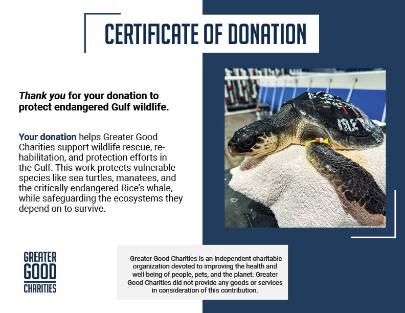 Federal Protections Gutted, Critically Endangered Species At Risk