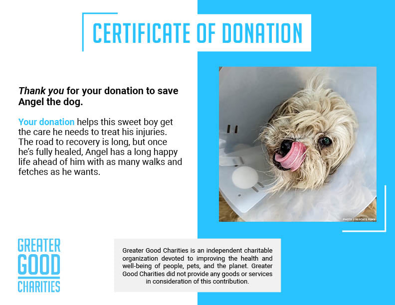 Help Angel Recover from Multiple Broken Bones