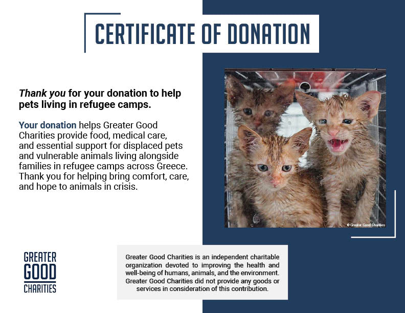 Help Care for Dogs & Cats at Greek Refugee Camps