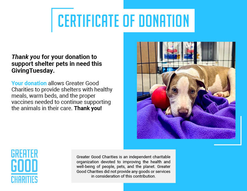 GivingTuesday: Care Package Drive for Shelter Pets