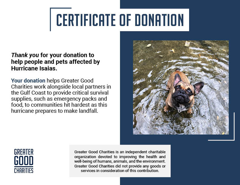 Hurricane Isaias Smashes Into the Gulf Coast: Rush Aid to People & Pets