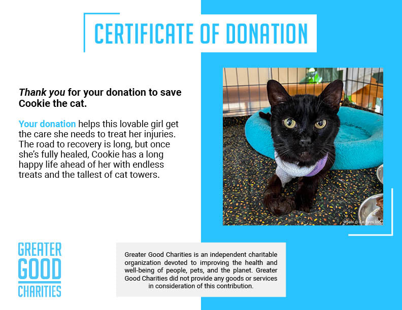 Funded: Cookie Suffered Severe Burns and Needs Surgery to Heal