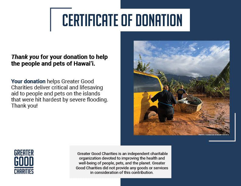 Help People and Pet Victims of Devastating Floods in Hawai'i