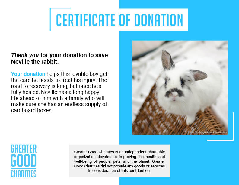 Funded: Neville Needs Support After Emergency Dental Surgery