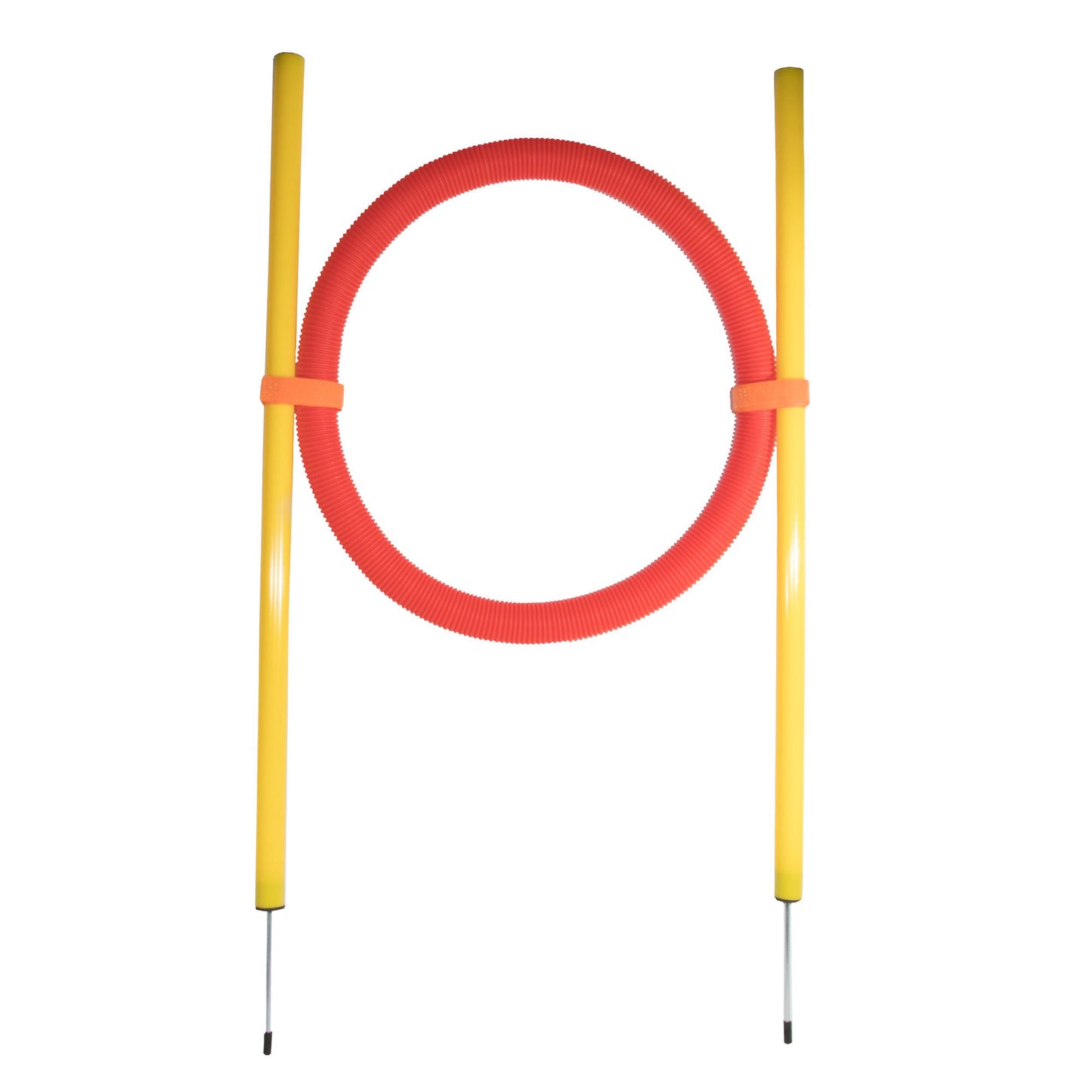 Pet Life® Hoop Agility Dog Trainer Kit