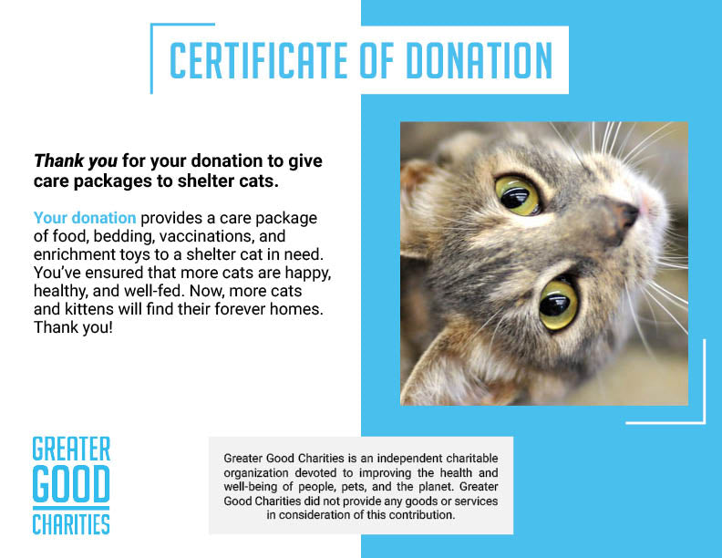 Care Packages for Shelter Cats