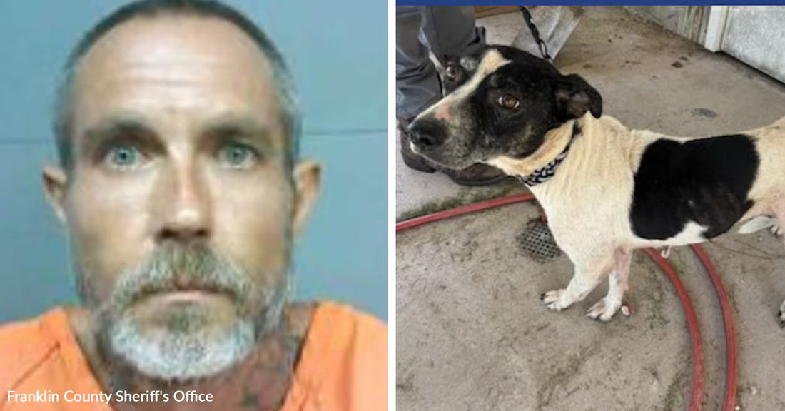 Split image showing a mugshot-style photo of a man beside a black-and-white dog standing on a concrete floor.