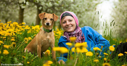 Women are Better at Understanding Canine Communications Than Men