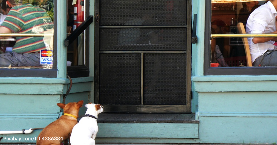 These Six US States Allow Dogs In Restaurants