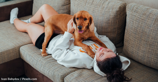 Dog Has Hilarious Reaction To Hearing Her Owner Bark