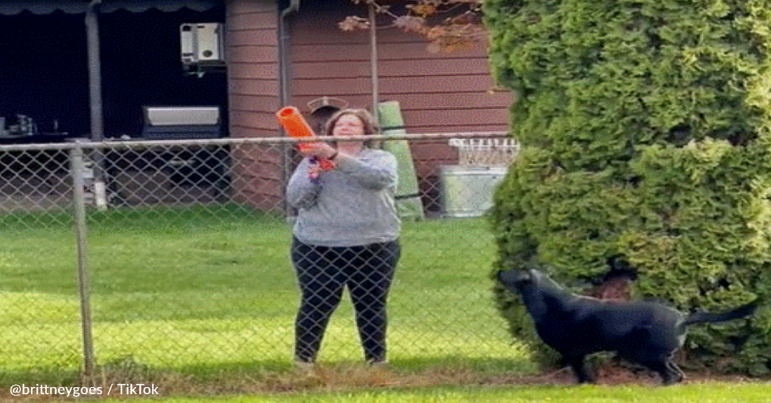 Woman Catches Neighbor Playing With Her Dog Over The Fence